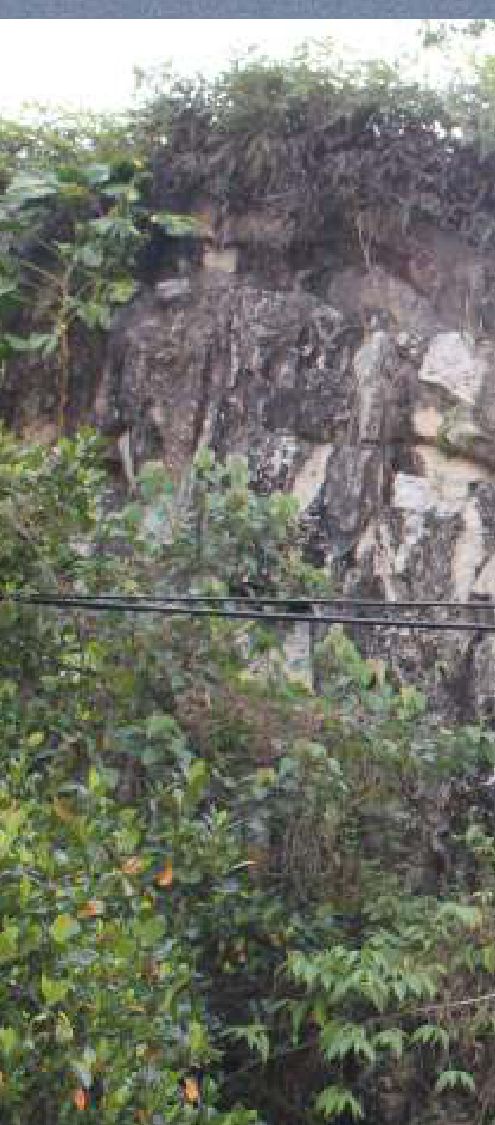 Engineering geological mapping of an exposed rock face